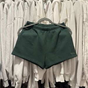 Aritzia Shorts